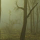 Illustration for article titled How to Mod Fallout 4 and Which Are the Best?